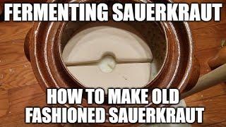 Fermenting Sauerkraut - How To Make Old Fashioned Sauerkraut