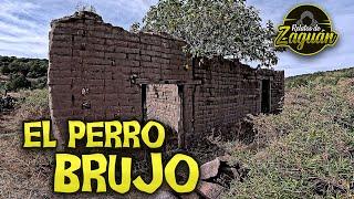 EL PERRO ERA UN BRUJO, estaba COMO LOCO !!