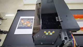 Robotjet single pass digital printer