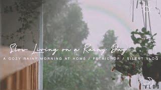 Slow Living on a Rainy Day | a cozy rainy morning  | Silent Vlog | Aesthetic Vlog | Philippines