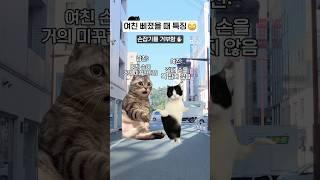 여친이 삐졌을 때 신호ㅋㅋㅋ