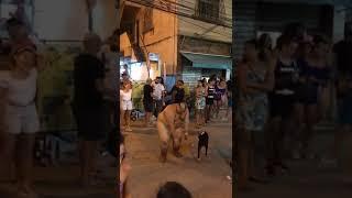 BORA PRO PAGODE, OU É AXÉ...SERA SAMBA?...BOM ISSO AI BORA.