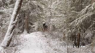 The Beast Known As Kiwakatan Wapia Wey Emerges Near Native Burial Ground (Video One)