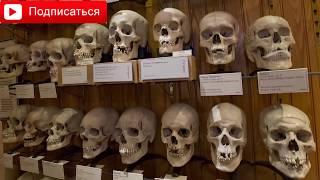 САМЫЕ СТРАШНЫЕ МУЗЕИ МИРА