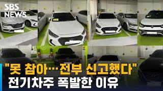 "못 참아…전부 신고했다" 전기차주 폭발한 이유 / SBS / 오클릭