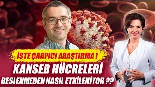 KANSER HÜCRELERİ BESLENMEDEN NASIL ETKİLENİYOR ?? İŞTE ÇARPICI ARAŞTIRMA !