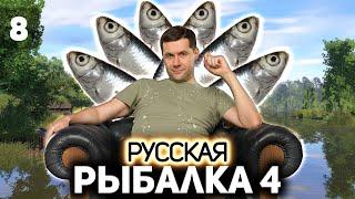 Король уклеек и челленджи  Русская Рыбалка 4 [PC 2018] #8