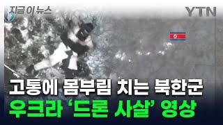 북한군, 숨을곳 없이 픽픽 쓰러져...우크라군 "드론으로 12명 사살" [지금이뉴스] / YTN