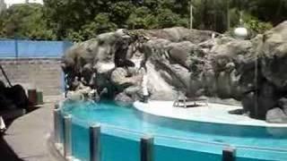 ZOO de Buenos Aires - Acuario (1)