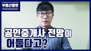 공인중개사 전망, 어둡다고?? / 부동산 중개업의 현실을 이야기하다