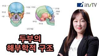 [2021] 2차 김윤아의 의학이론 - 두부의 해부학적 구조