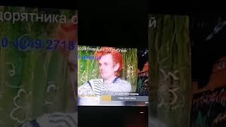 разбил кружку на стриме sex pistols  об голову