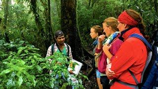 Green economy: Ecotourism Destination Development