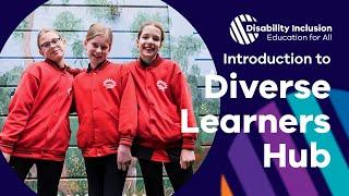 Introduction to the Diverse Learners Hub - Birmingham Primary School