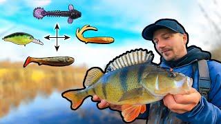 COLD WATER Guide - Effective Methods for Perch | Team Galant