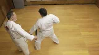 5-count Ten no Kata