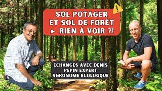 Rencontre avec Denis Pépin, expert jardinier et auteurs succès avec 40 années de pratique