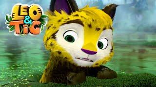 Leo and Tig  The Unexpected  - New animated movie - Kedoo ToonsTV