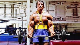 ARNOLD SCHWARZENEGGER ARMS WORKOUT