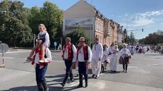 Průvod - Slavnosti vína Uherské Hradiště 2024