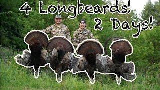 Four LONGBEARDS in TWO DAYS! WISCONSIN Turkey Hunting!