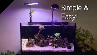 How I setup my mangrove aquarium