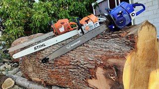 Big chainsaws in big wood - 2023 edition (Stihl MS881, Husqvarna 3120xp & FarmerTec G888)