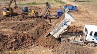 Powerful Big Heavy Shantui Dozer In Cambodia Pushing Dirt And Dump Truck Unloading Dirt