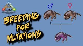 Breeding for Mutations in Ark Survival Evolved