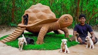 Building Dog House in Tortoise House for rescued Puppies