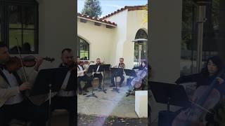 Clair de Lune (Debussy) - Enchanted String Quartet in Ojai #classicalmusic #debussy #wedding