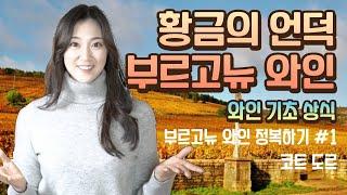 부르고뉴 와인 레이블 정복하기!