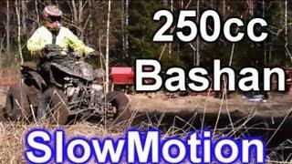 Bashan QUAD BS250 S-11 In Snow & Dirt [HD]