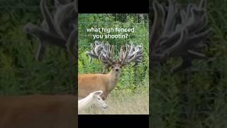 What deer you shooting #hunter #hunting #fyp  #buck #deer #doe #coltoncollibsworth #tirtypointbucks