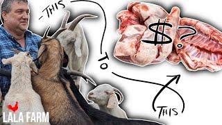 Cost to Grow Your Own Meat - Goat Processing Economics