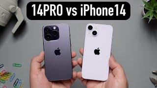 iPhone 14 PRO vs iPhone 14. Какой айфон выбрать?