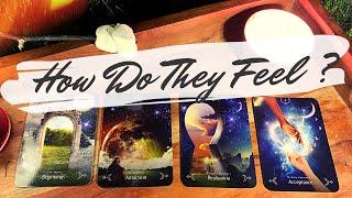 Pick a Card ️ How Do They Feel About You? Cozy Campfire Reading Pendulum!