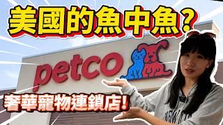 【藍箱水族】開箱美國魚中魚?!PETCO奢華寵物連鎖店~居然還有寵物Uber?自助洗寵物區?