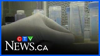Celebrating groundbreaking diabetes research in Edmonton