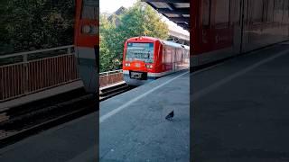 S-Bahn Hamburg pulling into Berliner Tor Station #train #metrogame #trainspoting #railway