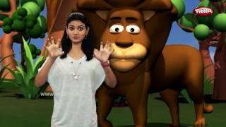 Gujarati Rhymes Collection For Children | Gujarati Action Songs Compilation | Animal Songs Gujarati