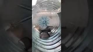 Летучая мышь в банке