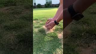 Pulling Weeds is So Satisfying