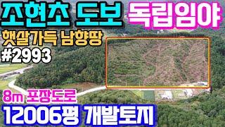 (양평임야 밤나무농장 개발토지매매) 조현초도보 조현리 남향 햇살좋은 계획관리 12,006평 도로(1,141평)지분 포함 & 용문숲2993  양평부동산매매, 양평땅매매, 조현리임야