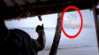 5 giant creatures caught on camera by #FactMysteryTV