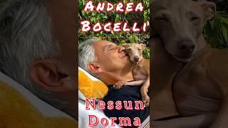 Andrea Bocelli sings "Nessun Dorma"