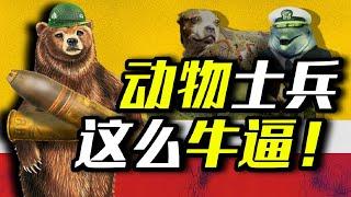 棕熊被授予二等軍銜？幾隻海豚組成一支軍隊！戰爭中的“動物士兵”有多離譜？