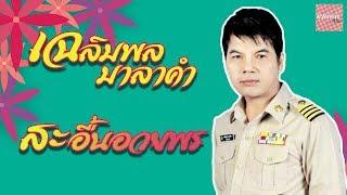 สะอื้นอวยพร - เฉลิมพล  มาลาคำ [Official Audio]