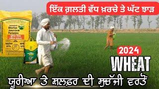 ਕਣਕ ਚ ਯੂਰੀਆ ਤੇ Sulfur ਦੀ ਸਹੀ ਵਰਤੋਂ Nitrogen and sulfur use in wheat