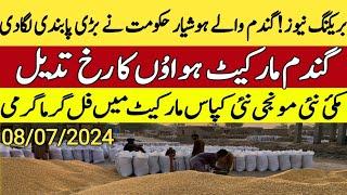 Today Gandum wheat, Paddy, Rice Rates in Ghalla Mandi 08-07-2024